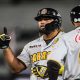 Leones y Tigres se citan esta noche en Maracay