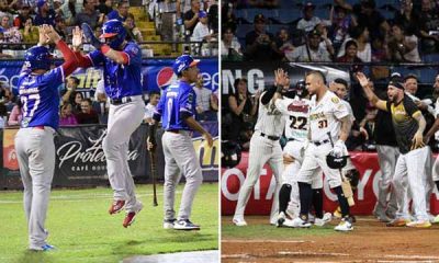 Tiburones y Leones se citan esta noche en un partido de suma importancia