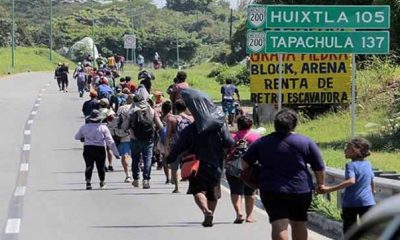 Migrantes desisten de caravanas y se entregan en la frontera de México