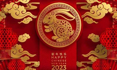 Año Nuevo Chino: el conejo de agua que promoverá la tranquilidad