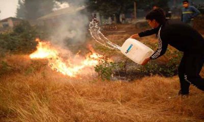 Chile inicia planes de reconstrucción en zonas afectadas por incendios