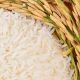 Fedeagro reporta una leve recuperación en la producción de arroz