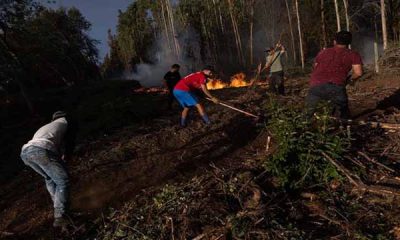 Chile lucha por quinto día consecutivo contra los incendios forestales