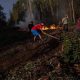 Chile lucha por quinto día consecutivo contra los incendios forestales