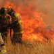 Autoridades elevan a 15 los fallecidos por incendios en Chile