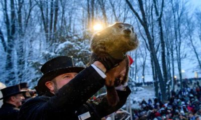 La marmota Phil «predijo» seis semanas más de invierno en EEUU