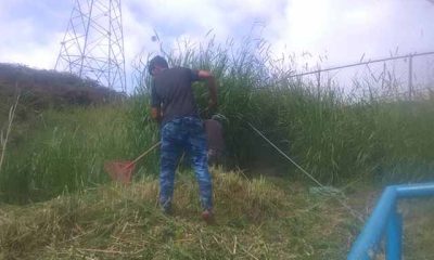 ServiCarrizal ejecuta operativos de limpieza y embellecimiento en Carrizal Bonita