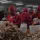 Venezuela aumentó un 13 % las exportaciones de crustáceos y pescados en 2022