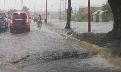 Intensas lluvias dejan afectaciones en Mérida este sábado