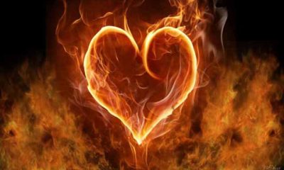 El corazón es todo amor, verdad, belleza y bondad