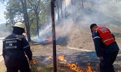 Más de 270 incendios forestales se han registrado este año en Caracas