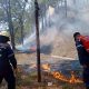Más de 270 incendios forestales se han registrado este año en Caracas