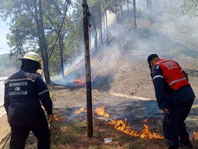 Más de 270 incendios forestales se han registrado este año en Caracas