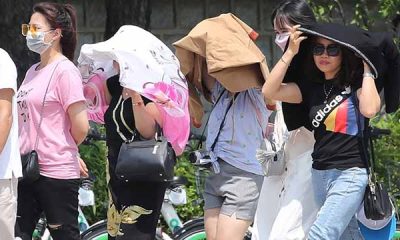 Ola de calor sofoca a Vietnam: con 44 grados alcanza la temperatura más alta de su historia