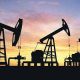 El petróleo es "insustituible en el futuro" y su demanda mundial seguirá aumentando, dice la OPEP