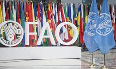 FAO lanzó plan para ayudar a 175 mil venezolanos