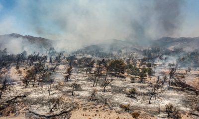 Ola de calor y devastadores incendios azotan el Mediterráneo: Italia, Grecia y Argelia en crisis