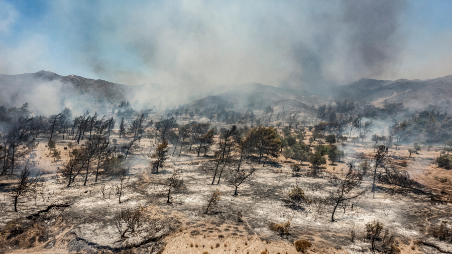 Ola de calor y devastadores incendios azotan el Mediterráneo: Italia, Grecia y Argelia en crisis