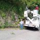 Estratégica acción de la Alcaldía de Carrizal y Corpoelec: Parada programada para poda de árbol y garantizar servicio eléctrico en Las Aguaditas