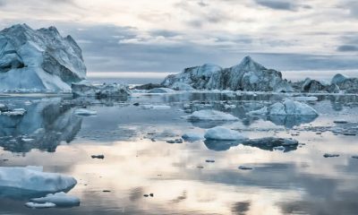 Riesgo ecológico: La liberación de virus antiguos desde el deshielo del Ártico plantea peligros ambientales.