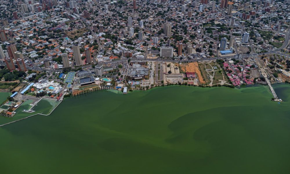 Primer Encuentro Técnico Científico Popular para el Lago de Maracaibo: Rescate y Desarrollo Sostenible.