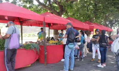 Alcaldía de Guaicaipuro Abastece con Alimentos en los Mercados Comunitarios