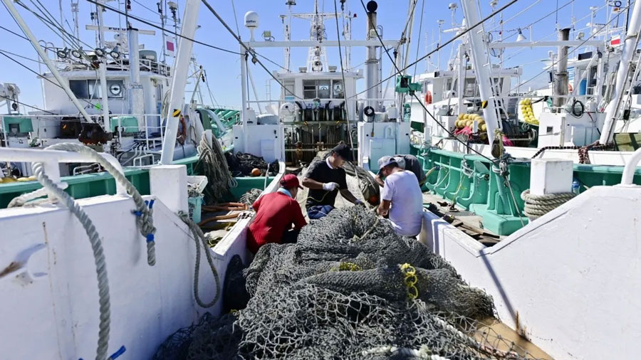 Rusia se une a China en la Suspensión de Importaciones de Productos Marinos de Japón tras el Vertido de Fukushima