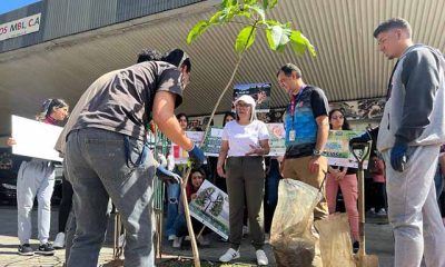 Chacao se Transforma con un Innovador Mural Ecológico de 60 Metros: Compromiso de la Comisión de Ecología y Desarrollo Sustentable