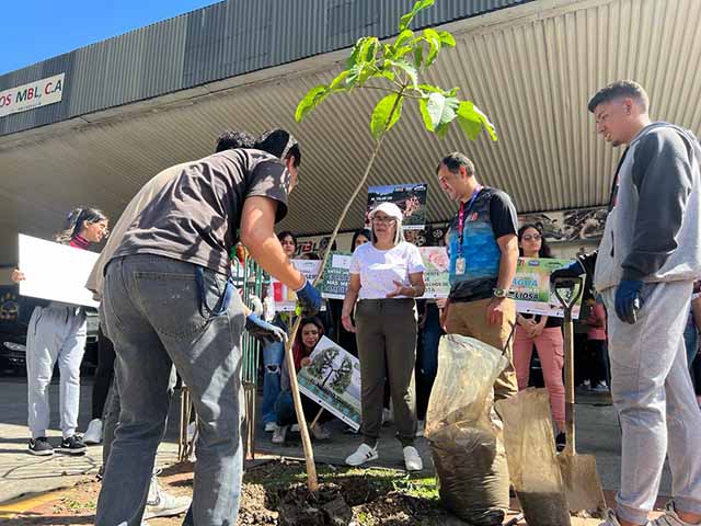 Chacao se Transforma con un Innovador Mural Ecológico de 60 Metros: Compromiso de la Comisión de Ecología y Desarrollo Sustentable