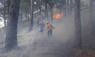 PC Carrizal combate nueve incendios forestales en enero