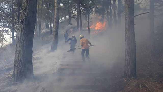 PC Carrizal combate nueve incendios forestales en enero