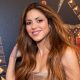 Acoso a Shakira: Detenido Perturbador que Atentaba contra su Tranquilidad en Miami