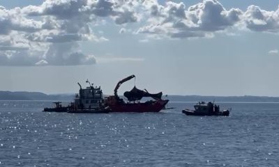 Reflotan el helicóptero en el que Sebastián Piñera