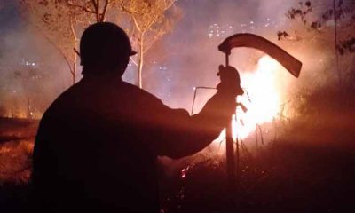 Incendios forestales afectan gravemente a Los Altos Mirandinos: Respuesta inmediata de cuerpos de seguridad y Protección Civil