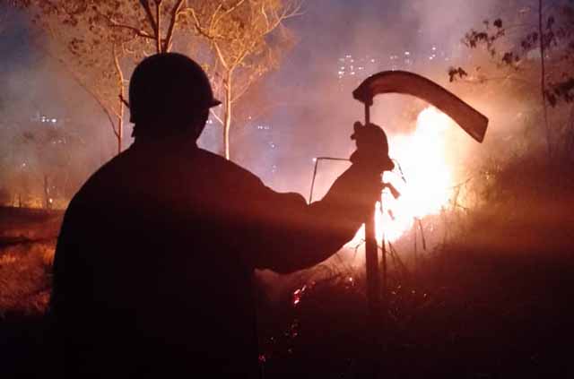 Incendios forestales afectan gravemente a Los Altos Mirandinos: Respuesta inmediata de cuerpos de seguridad y Protección Civil