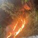 Incendios forestales en Los Altos Mirandinos siguen generando preocupación: Autoridades en acción
