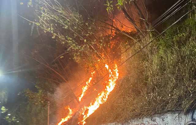 Incendios forestales en Los Altos Mirandinos siguen generando preocupación: Autoridades en acción