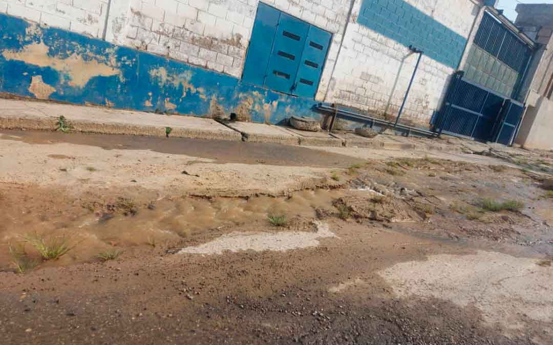 Las imágenes muestran el estado de abandono de la zona industrial Kerch, en Los Salias, evidenciando el deterioro de la vialidad y el peligro de colapso.