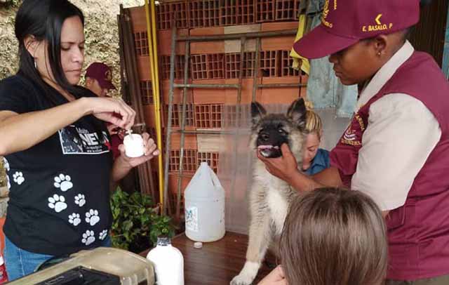 Alcaldía de Guaicaipuro y Misión Nevado se unen por el bienestar animal en Lagunetica