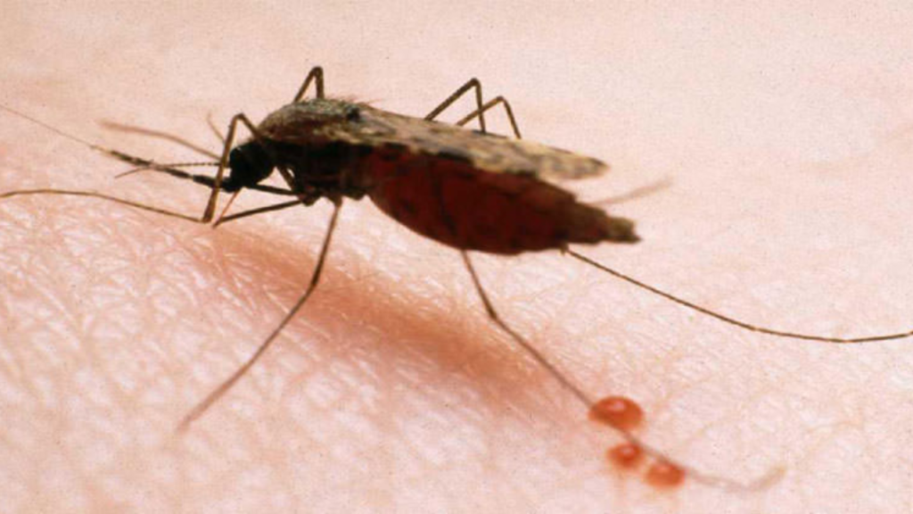 Perú se fija la meta de eliminar la malaria para 2030