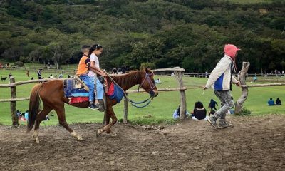 Visitantes disfrutan de un paseo a caballo en las Lomas de Cubiro, rodeados de paisajes verdes y aire puro.