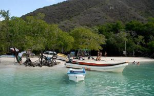 La Ciénaga: humedal de ensueño y santuario natural