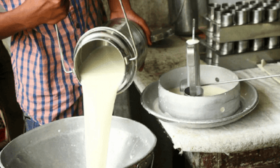 Lluvias en Apure y Guárico podrían impactar precios de la leche