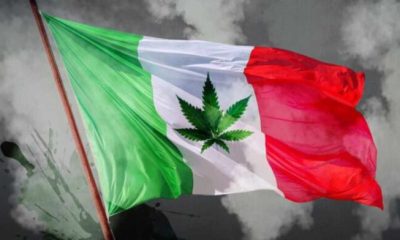 Cannábicos denuncian criminalización en espacios de consumo tolerado