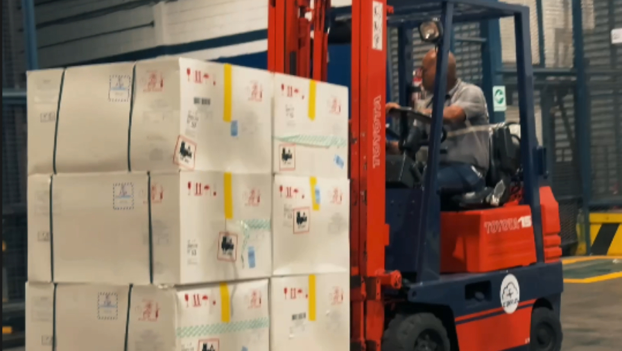 Venezuela recibe 226 dosis de vacunas contra la fiebre amarilla