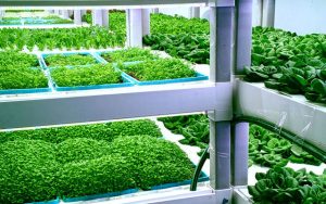 Representación de la agricultura inteligente o 4.0.