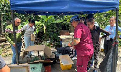 jornada de esterilización en Los Teques, donde se realizó la primera actividad del programa conjunto entre la Alcaldía y Misión Nevado.