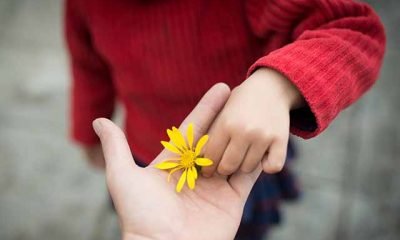 Reflexión y gratitud: reconocer nuestras bendiciones transforma la vida y fortalece la felicidad interior