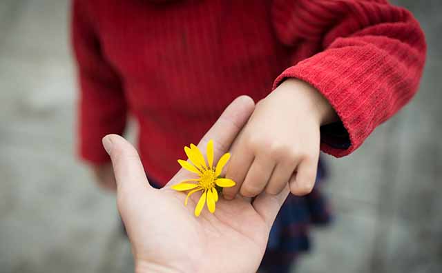 Reflexión y gratitud: reconocer nuestras bendiciones transforma la vida y fortalece la felicidad interior