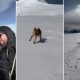 El perro sin hogar celebra en la cumbre del Elbrús junto a los montañistas.